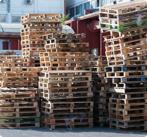 shutterstock_1564289836